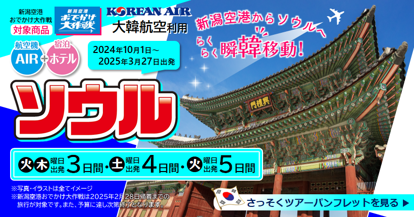 「新潟空港お出かけ大作戦」ソウル