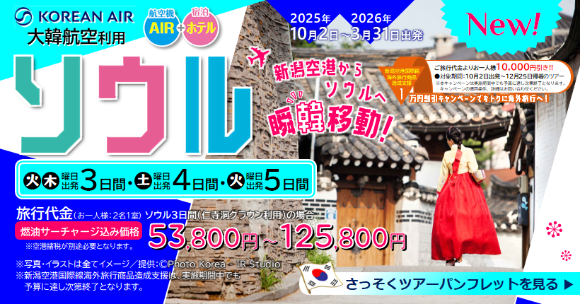 新潟トラベル大満足ソウル3日間