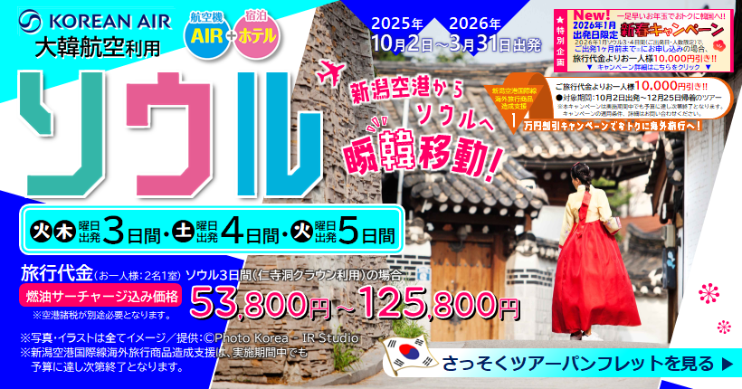 新潟トラベル大満足ソウル3日間