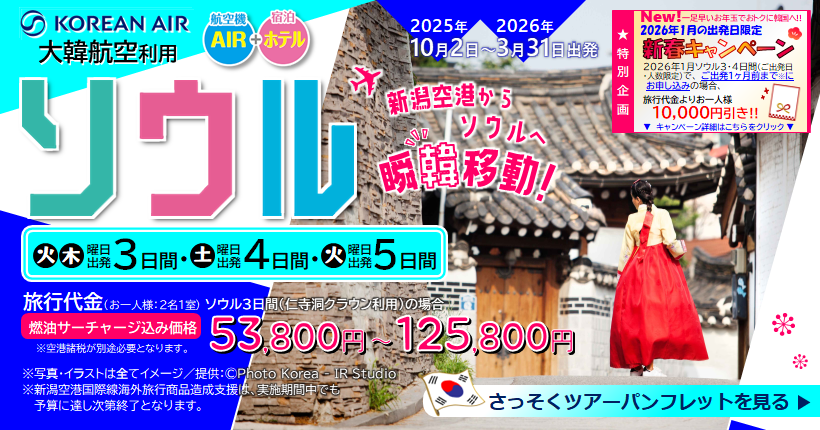 新潟トラベル大満足ソウル3日間