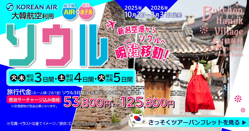 新潟トラベル大満足ソウル3日間