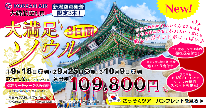 新潟トラベル大満足ソウル3日間