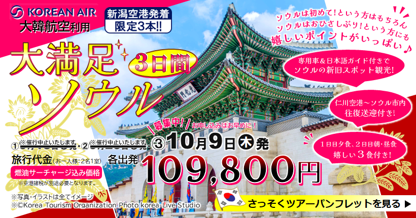 新潟トラベル大満足ソウル3日間