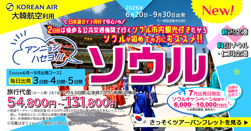 新潟トラベルソウル