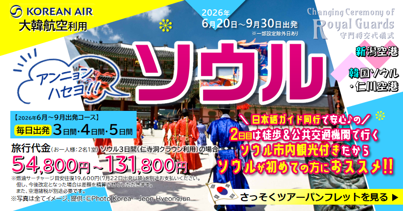 新潟トラベルソウル